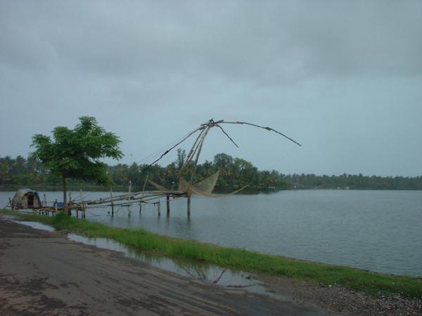 Beauty of Kochi backwaters !!