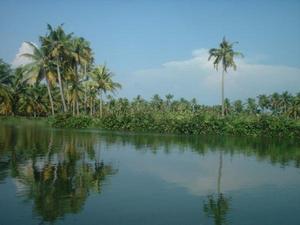 Beauty of Kochi backwaters !!