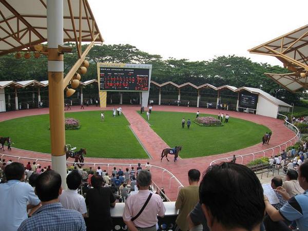 horse racing singapore style