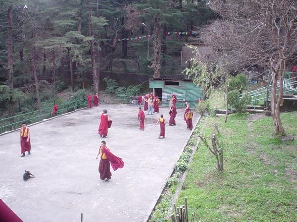 Monks palying cricket