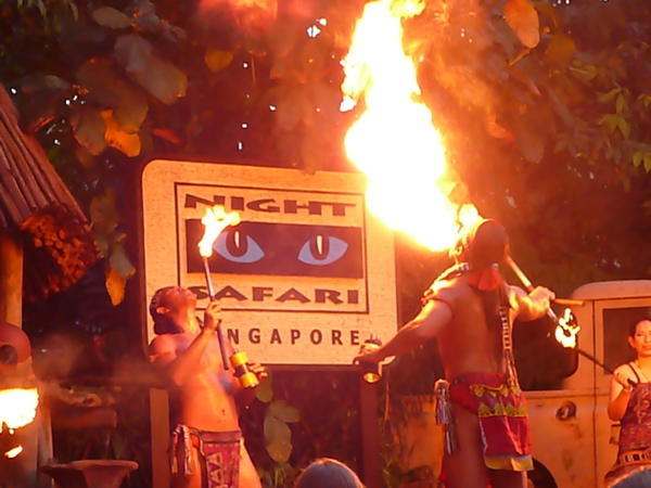 The Tribal Show at the Singapore Night Safari