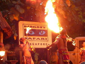 The Tribal Show at the Singapore Night Safari