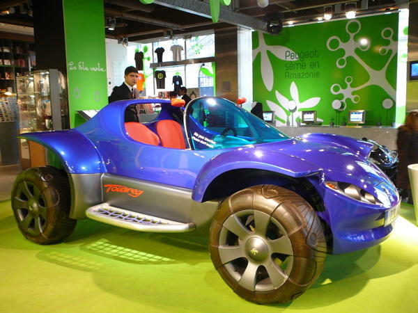 Concept Cars in the Peugeot Store on the Champs  Elysees