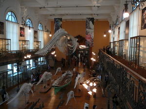 Inside The Oceanographic Museum
