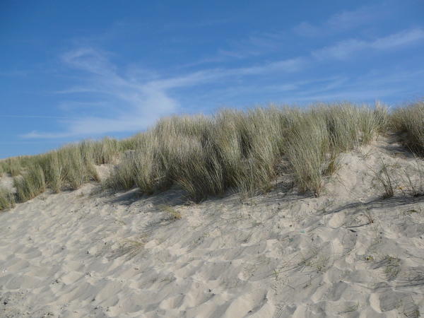 Artificial Sand Dunes