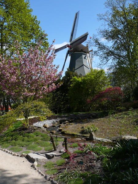 View of the Windmill From the Japanese Garden