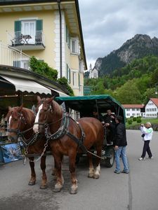 You Can Take the Horse Drawn Caridge to the Castle (On the Hill in the Background)