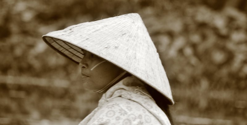Vietnamese Hat