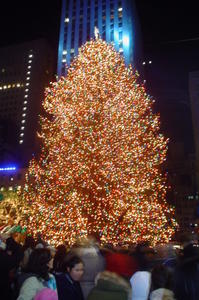 Christmas tree at Rockefeller centre