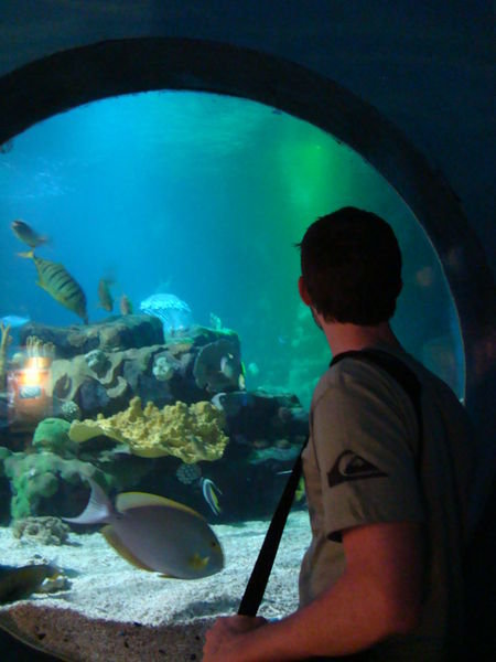 Birmingham Aquarium