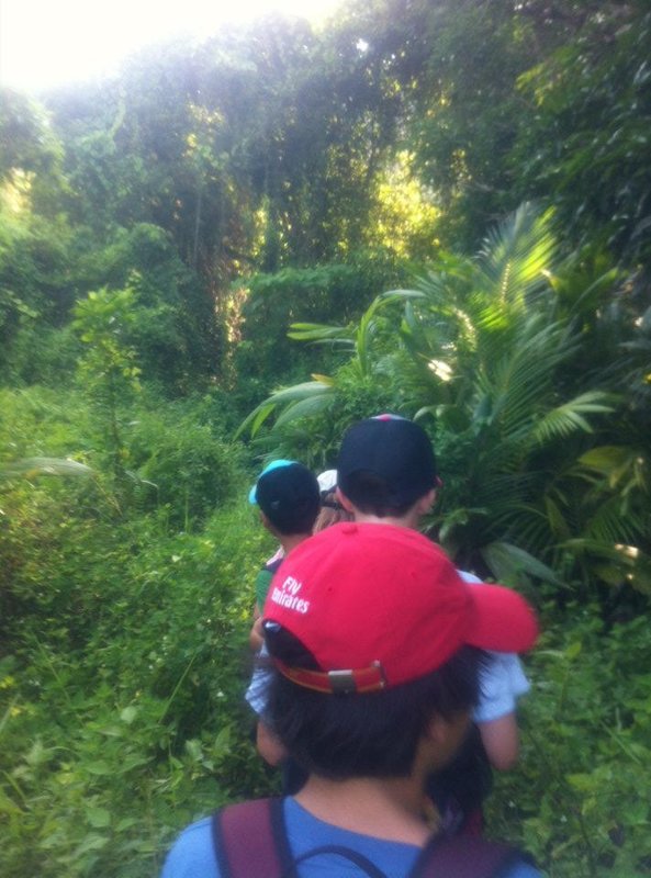 hike through jungle