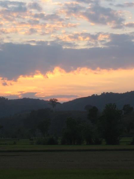 sunsets and rice paddies
