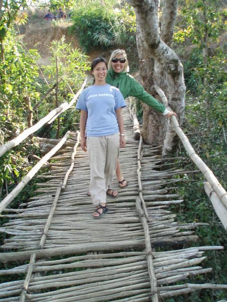 Bamboo Bridges