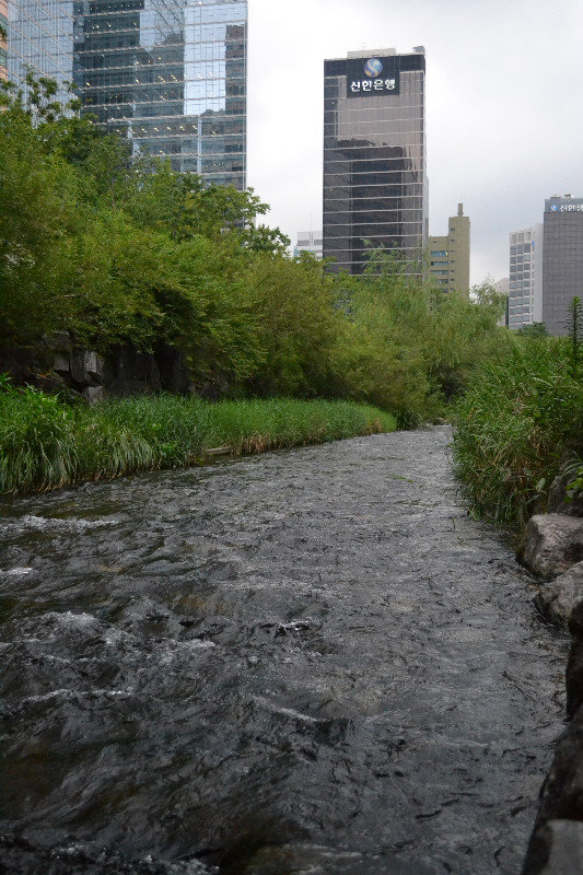 Clean stream in the city.