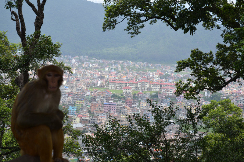 Kathmandu city view + monkeys