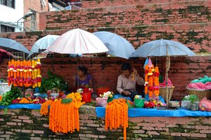 Nepal full of color