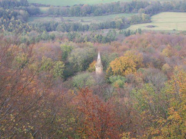 A Lone Church Steeple Among the Changing Leaves