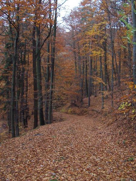 Naturpark Odenwald