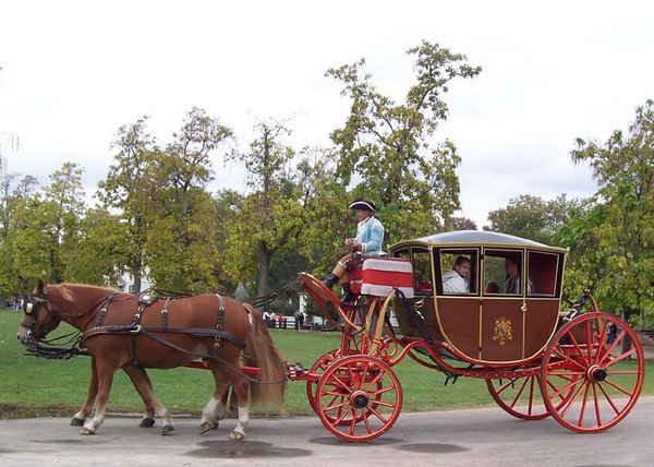 Horse and Carriage Ride