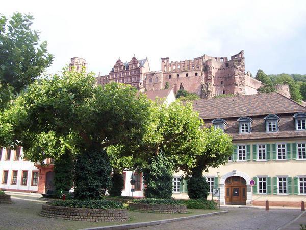 The Heidelberg Castle (from below)