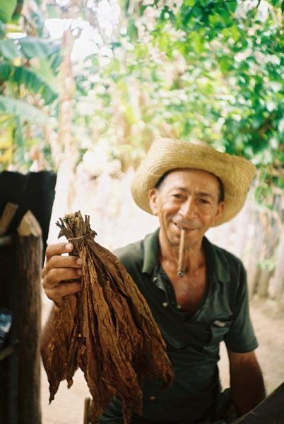 Guillermo, the tobacco farmer