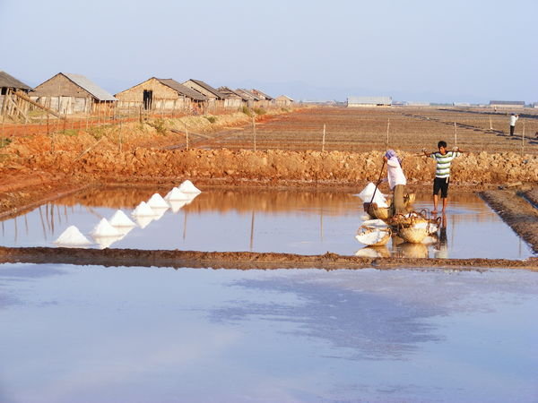 Harvesting salt near Kampot