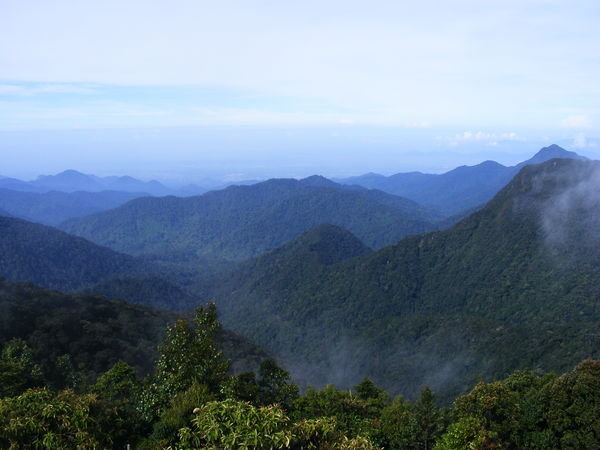 View from the highest point in the Cameron Highlands