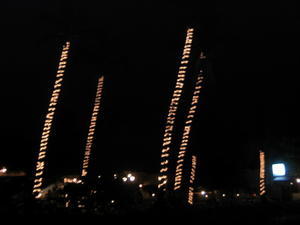 christmas lights on the palm trees
