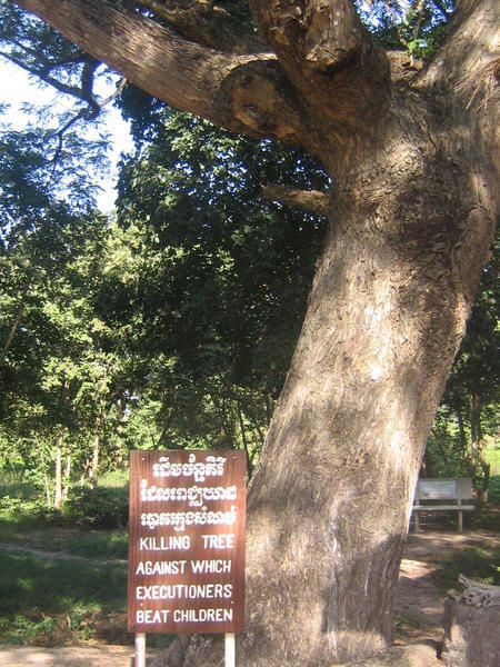 A tree against which many people were manually slaughtered using implements such as garden tools and chairs