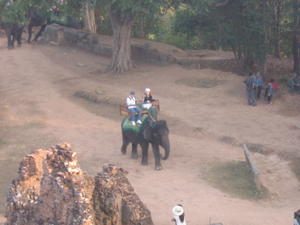 They give elephant rides up the hill to Phnom Bakheng