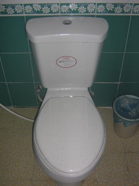 A comfortable flush toilet