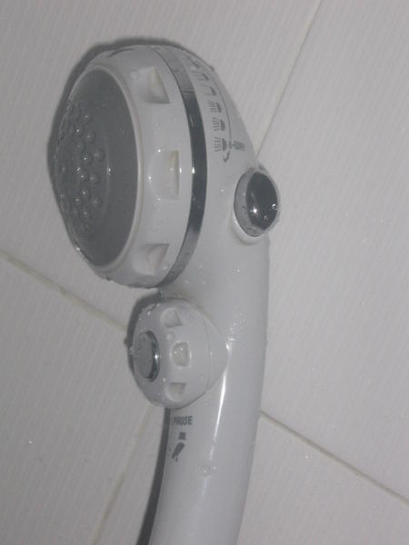 Free-roaming shower wand with push button controls