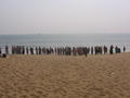 People come to worship at the beaches near Konark