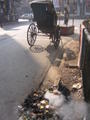 A rickshaw and burning trash on Park Street