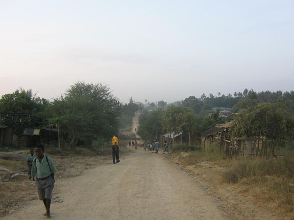 The road to our house in Mshomoroni