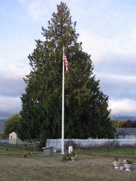 The Veterans' Memorial