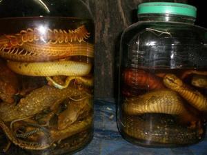 two buckets of snake whiskey