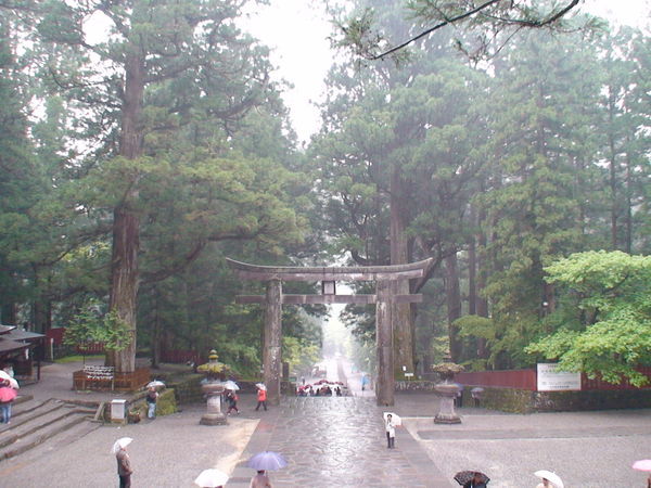 Looking down from the entrance gate to Toshogu