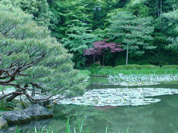 Garden at Heian Shrine