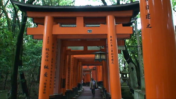 Large Torii Gates at Fushimi Inari