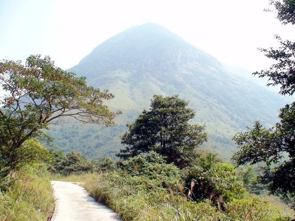 The Wisdom Path and Mt. Lantau