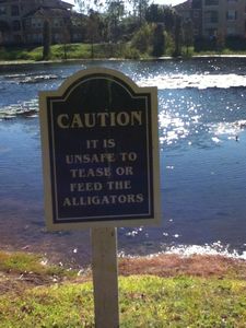 Don't tease the gators?
