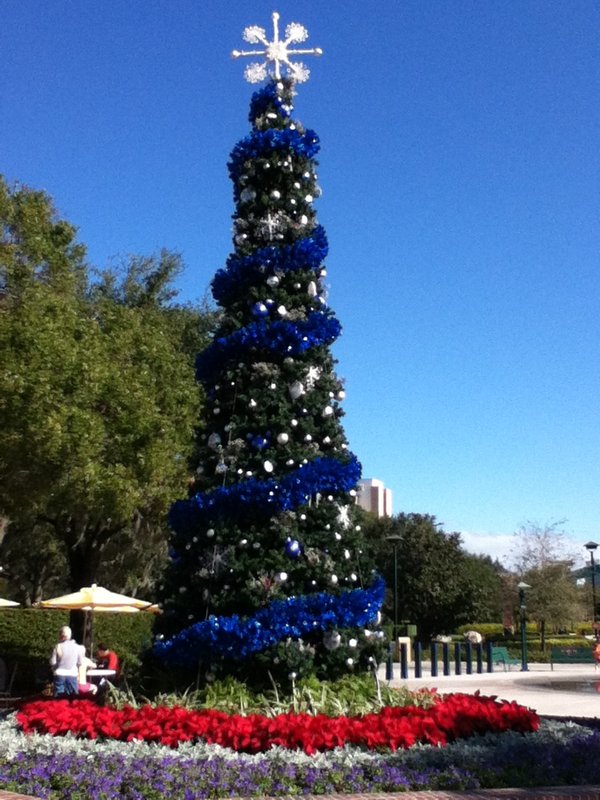 The big tree at Downtown Disney