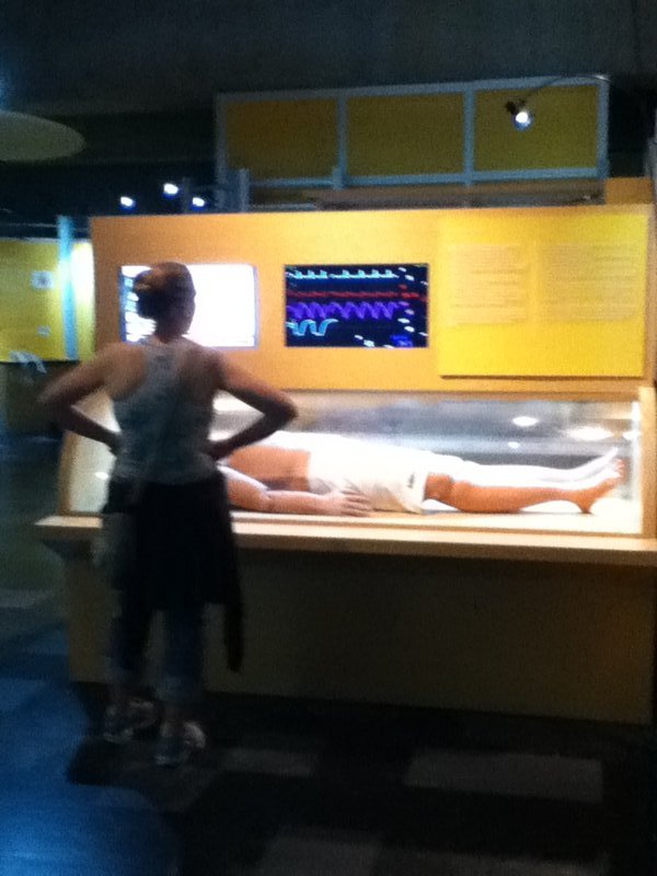 Stephanie looking at an exhibit