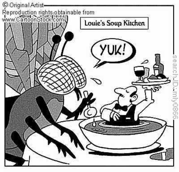 Waiter in a Fly's Soup