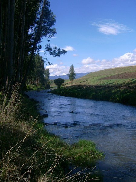 River Shaya