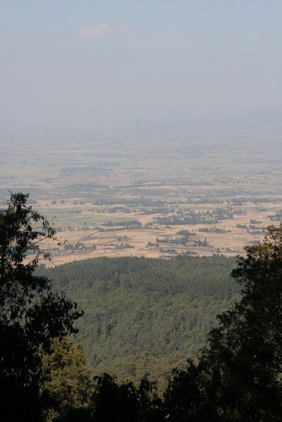 View from Menagesha Forest