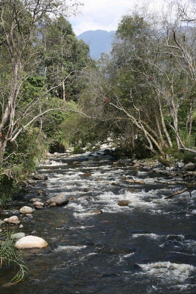 The river at Ruboni