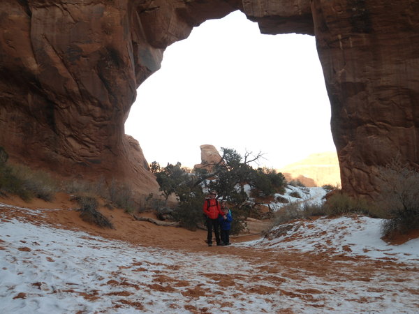 pine tree arch