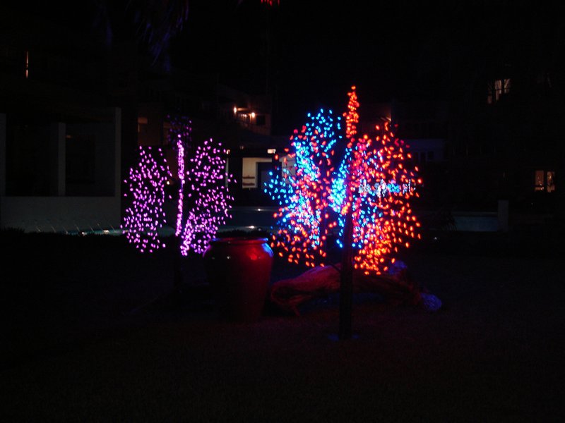 Christmas Lights at the Phoenix Resort